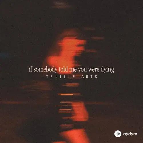 Tenille Arts - If Somebody Told Me You Were Dying