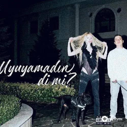 Aleyna Tilki-Poizi  - Uyuyamadın dimi 