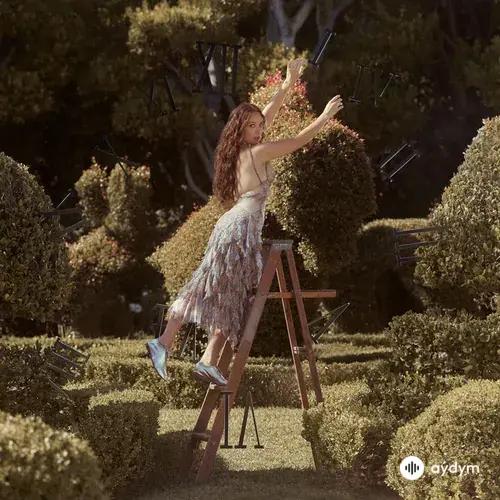 Laufey - I Wait, I Wait, I Wait