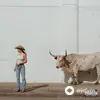 Kacey  Musgraves - Middle of Nowhere