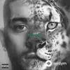 ZAYN - Nusrat