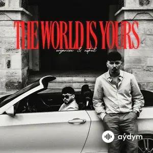 Organize -Astral - Partner