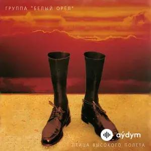 Птица высокого полёта