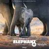 Ramin Djawadi - Elephant Prologue