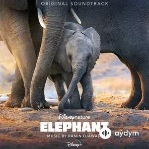 Elephant (Original Soundtrack)