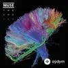 Muse - Supremacy