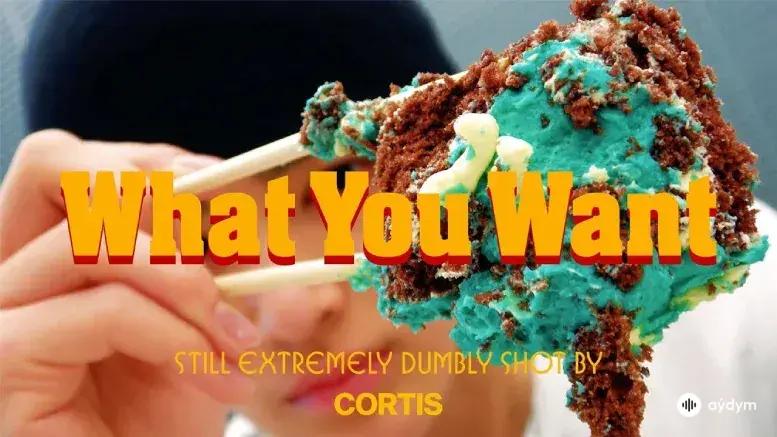 What You Want (Original Ver.)