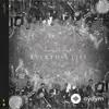 Coldplay   - Sunrise