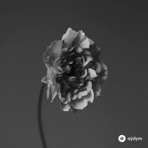 Nao Yoshioka-Braxton Cook-Bnnyhunna - You Got to Feel It