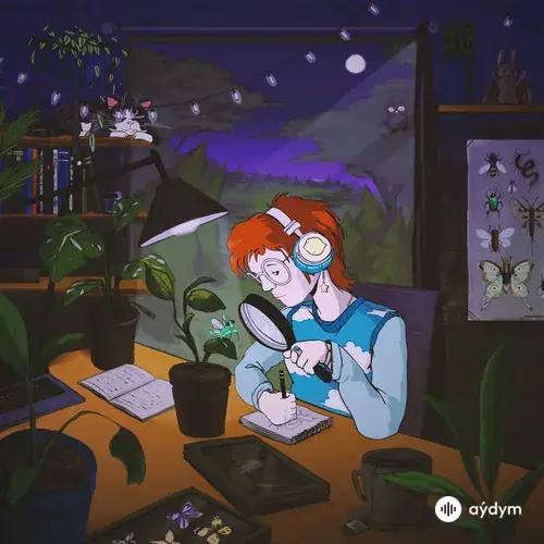 Cavetown Lofi