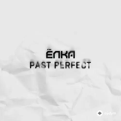 Past Perfect