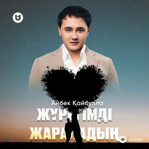 Айбек Қайбулла - Жүрегімді жараладың