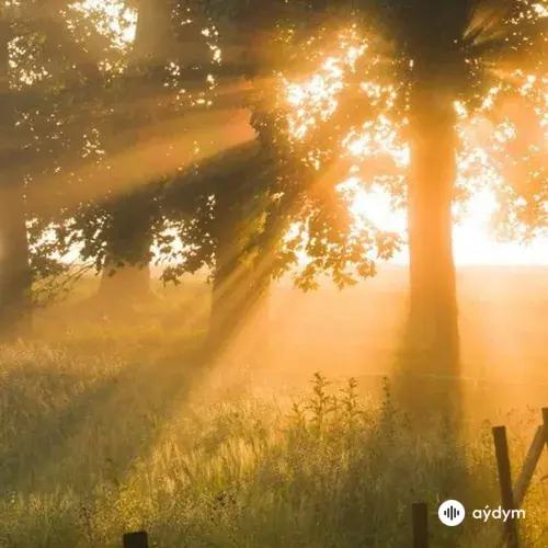 ADTurnUp -neiren! - Light Of Dawn