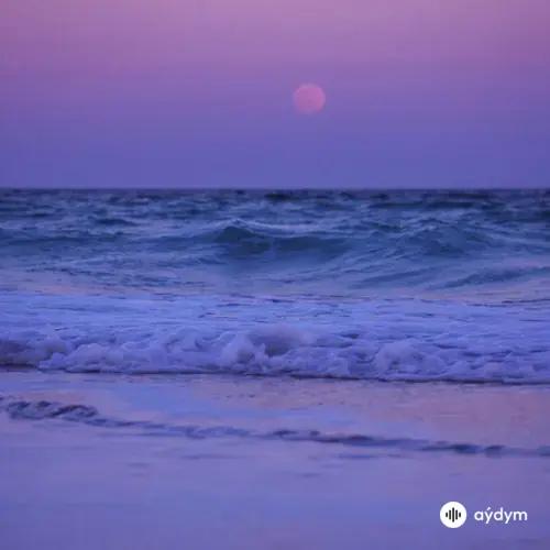 ADTurnUp -jordyn - Shore