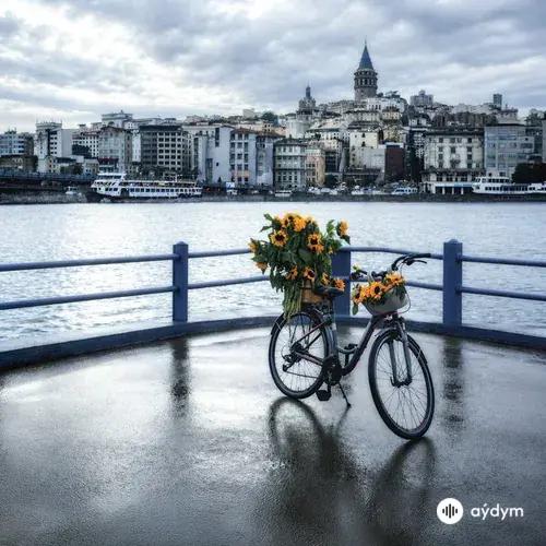 Sefo - Yine Seni Severdim