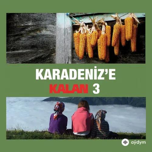 Ayfer  Vardar - Dayan Yüreğim