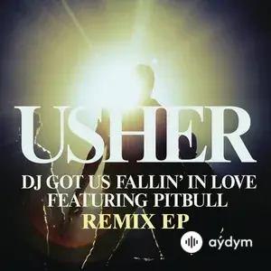 DJ Got Us Fallin' In Love - Remixes EP
