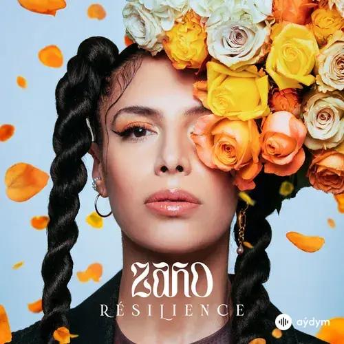 Resilience