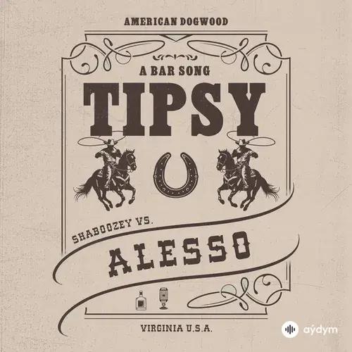Shaboozey-Alesso - A Bar Song (Tipsy) [Remix]