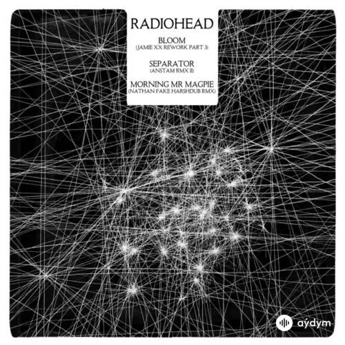 Radiohead -Jamie Xx  - Bloom (Jamie Xx Rework Part 3)
