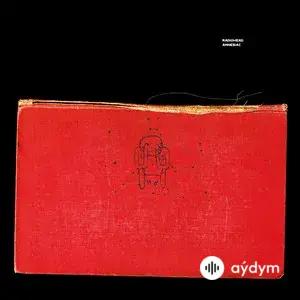 Radiohead - Like Spinning Plates