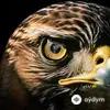 Keskin  - İNANILMAZ (INTRO)