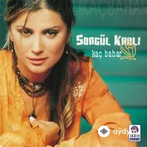 Kaç Bahar