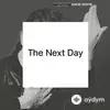 David  - The Next Day