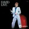 David  - Rebel Rebel - Live; 2005 Mix; 2016 Remaster