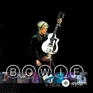 A Reality Tour (Live)