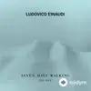 Ludovico Einaudi-Federico Mecozzi-Redi Hasa - Seven Days Walking / Day 5: Ascent