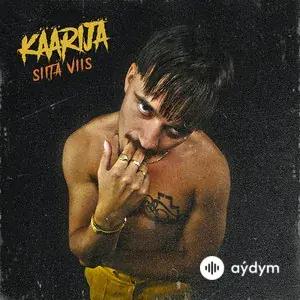 Siitä viis