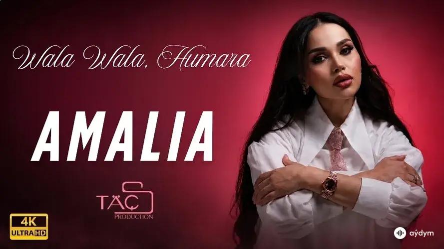 Wala Wala, Humara