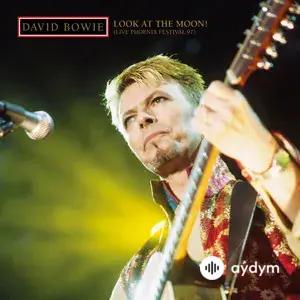 Look At The Moon! (Live Phoenix Festival 97)
