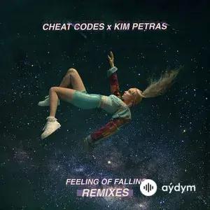 Feeling of Falling (Remixes)