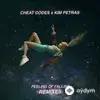 Cheat Codes -Kim Petras-Steve Aoki - Feeling Of Falling (Steve Aoki Remix)
