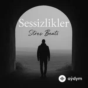 Sessizlikler