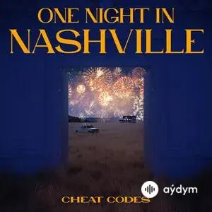 One Night In Nashville