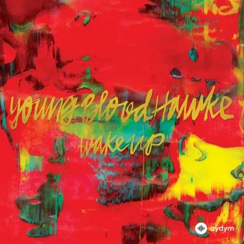 Youngblood Hawke - We Come Running
