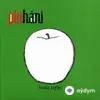 Pinhani - Yitirmeden