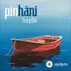 Pinhani - İyi Böyle