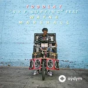 Sky Surfing (Remixes)