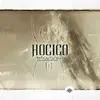 Hocico  - Sin Of Shadows
