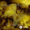 Hocico -Aslan Faction - Untold Blasphemies (Aslan Faction Remix)