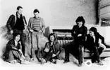 Camel - Freefall