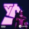 Ty Dolla $ign  - Intro