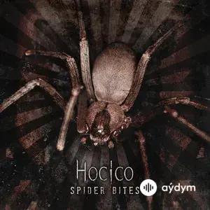 Spider Bites