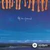 Paul McCartney - Off The Ground