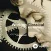 Paul McCartney-London Symphony Orchestra -Lawrence Foster - Junk