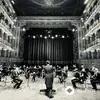 Jules Massenet-Orchestra del Teatro Comunale di Bologna-Yves Abel - Werther: Prélude